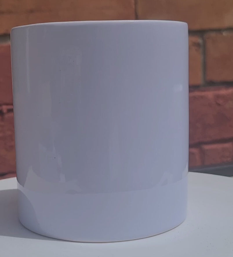 money jar vid